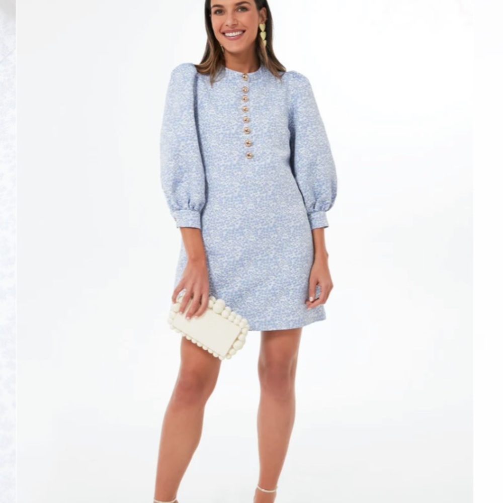 Blue Jacquard Samantha Mini Dress
POMANDER PLACE